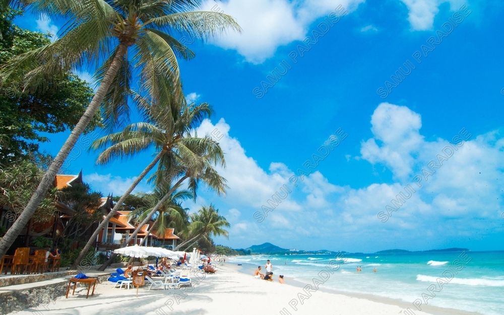 Samui Paradise Chaweng Beach Resort Exterior foto